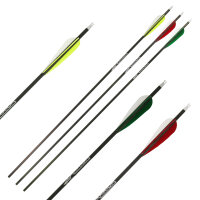 NEW GOODS | Flecha Completa | GOLD TIP Warrior - Carbono...