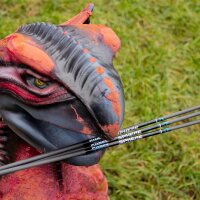 Flecha completa | SPHERE Ghost 4.2 - Carbono