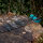 Flecha completa | SPHERE Ghost 4.2 - Carbono