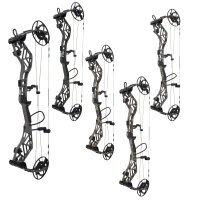 BEAR ARCHERY Persist - 45-70 lbs - Arco de poleas