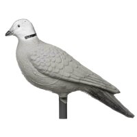 IBB 3D Taube