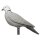 IBB 3D Taube