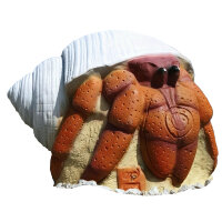 Cangrejo 3Di