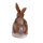 LONGLIFE conejo zombi