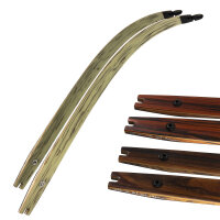 Palas | SPIDERBOWS - Hawk - Diseño SRF - Carbono -...