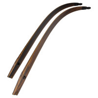 Palas | SPIDERBOWS - Hawk - Diseño SRF - Carbono - 25-50 lbs