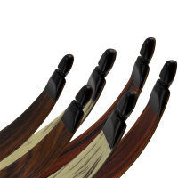 Palas | SPIDERBOWS - Hawk - Diseño SRF - Carbono - 25-50 lbs