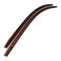 Palas | SPIDERBOWS - Hawk - Diseño SRF - Carbono - 25-50 lbs