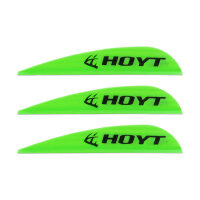 HOYT AAE Hybrid 26 - Plumas - 40 piezas