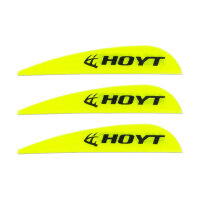 HOYT AAE Hybrid 26 - Plumas - 40 piezas