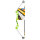 BEAR ARCHERY Valiant - 34 pulgadas - 7-16,5 lbs - Arco para principiantes