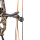 BEAR ARCHERY Royale RTH Extra - 5-50 lbs - Arco de poleas