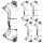 BEAR ARCHERY Legend 30 - 14-70 lbs - Arco de poleas