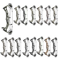 HOYT Alpha AX-2 29 - 40-80 lbs - Arco de poleas
