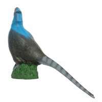 IBB 3D Blaufasan
