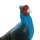 IBB 3D Blaufasan