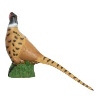 IBB 3D Edelfasan