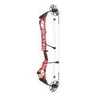 MATHEWS Title 34 - 40-70 lbs - Arco de poleas