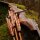 SPIDERBOWS - Hawk - SWS - 60-66 pulgadas - 25-50 libras - arco recurvo desmontable