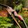 SPIDERBOWS - Hawk - SWS - 60-66 pulgadas - 25-50 libras - arco recurvo desmontable