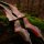 SPIDERBOWS - Hawk - SWS - 60-66 pulgadas - 25-50 libras - arco recurvo desmontable