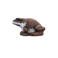 WILDCRETE 3D Aga - Sapo