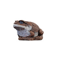 WILDCRETE 3D Aga - Sapo