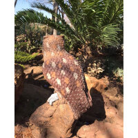 WILDCRETE 3D Fleckenuhu
