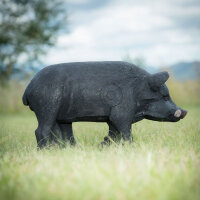 WILDCRETE 3D Cerdo doméstico negro