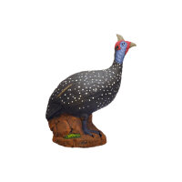 WILDCRETE 3D Gallina de Guinea