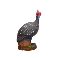 WILDCRETE 3D Gallina de Guinea