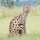WILDCRETE 3D Wildkatze