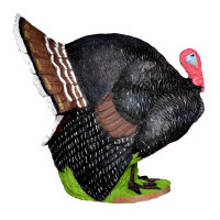 WILDCRETE 3D Pavo