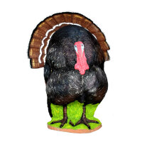 WILDCRETE 3D Pavo
