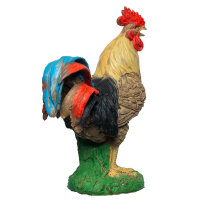 IBB 3D Gallo - marrón