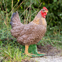 IBB 3D Gallina - marrón