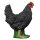 IBB 3D Gallina - negro