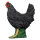 IBB 3D Gallina - negro
