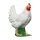 IBB 3D Gallina - blanco