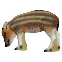 SRT Novato - Pasmando