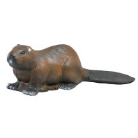Castor LONGLIFE