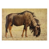 STRONGHOLD Diana 2D - Ñu 30 x 42 cm...