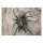 STRONGHOLD Diana 2D - araña - 30 x 42 cm - hidrófugo/resistPato a los desgarros