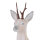 LONGLIFE 3D cornamenta corzo - Accesorios