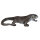 FRANZBOGEN - Lagarto monitor
