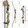 EVANS Wind Fire - Arco Recurvo - 20 lbs